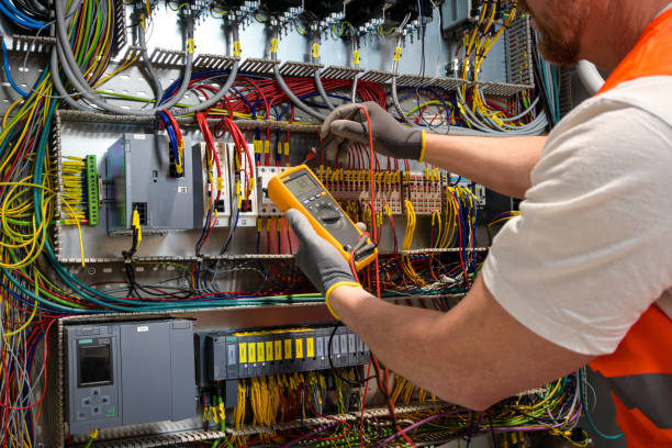 Best Electric Panel Repair  in Bohners Lake, WI